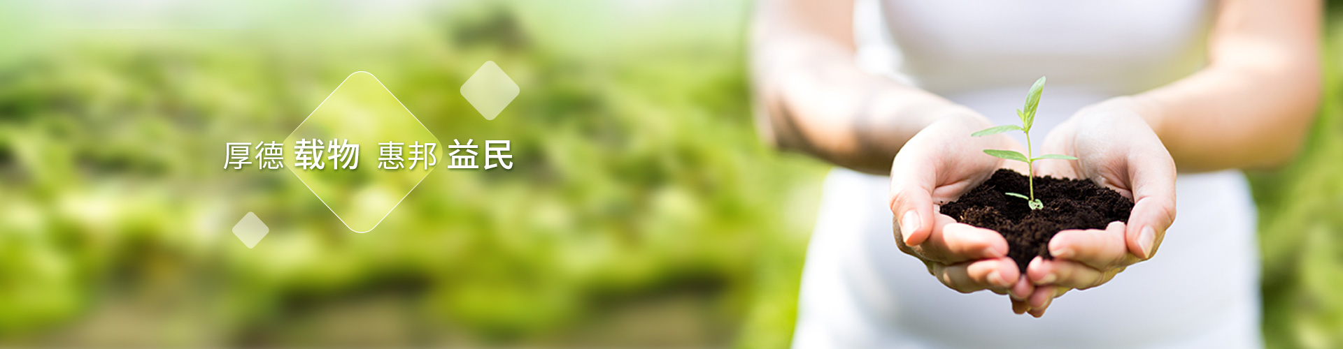 亚投娱乐股份