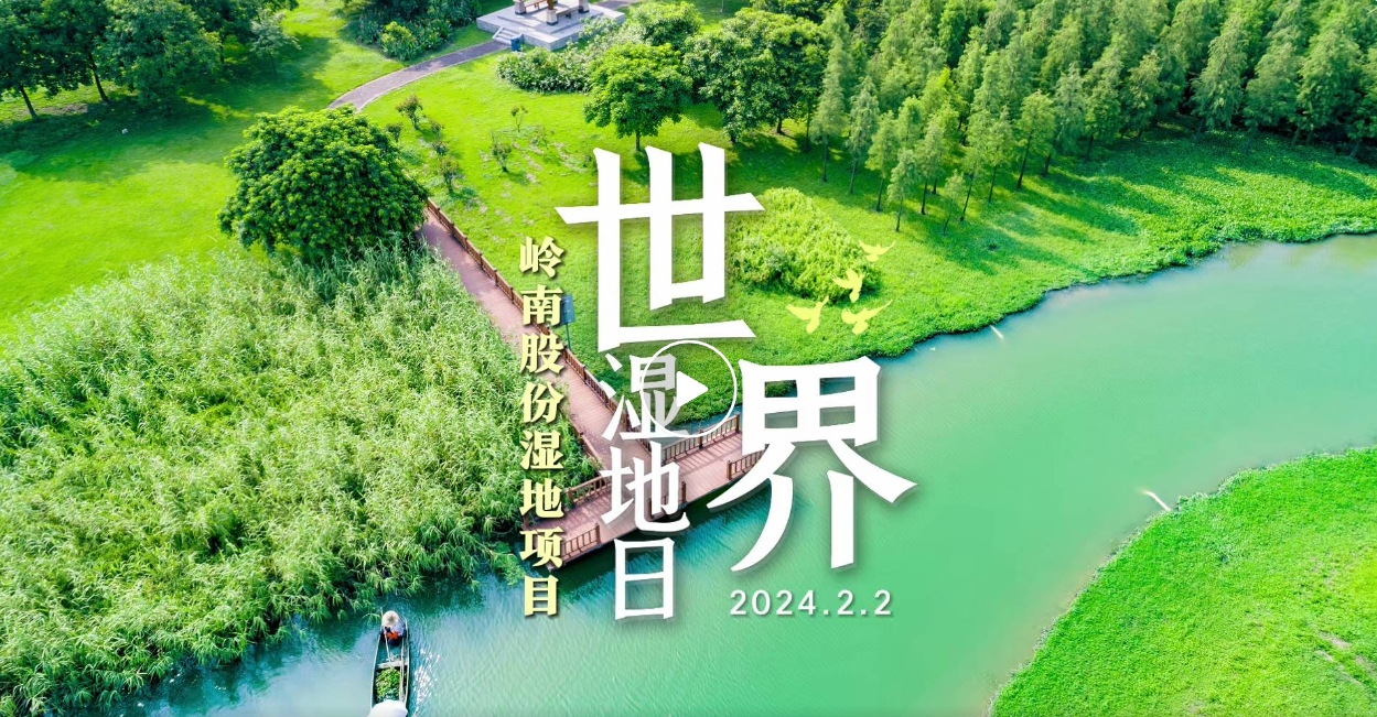 世界湿地日| 亚投娱乐股份带你领略湿地之美