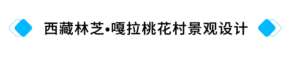 24、西藏林芝?嘎拉桃花村景观设计.jpg